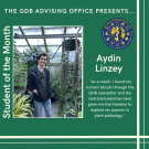 Aydin Linzey